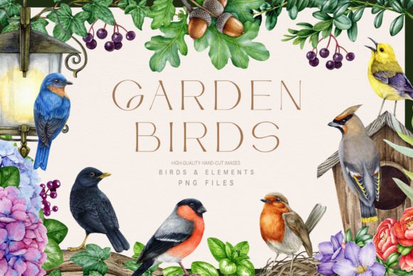 Charming Garden Bird Illustrations for Creative Projects