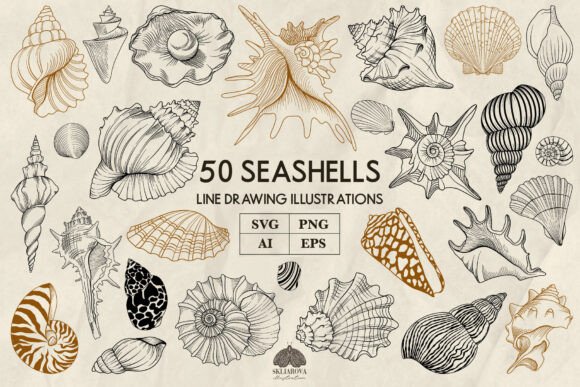 Coastal Creativity: Unlocking Versatile Designs with Seashell Art