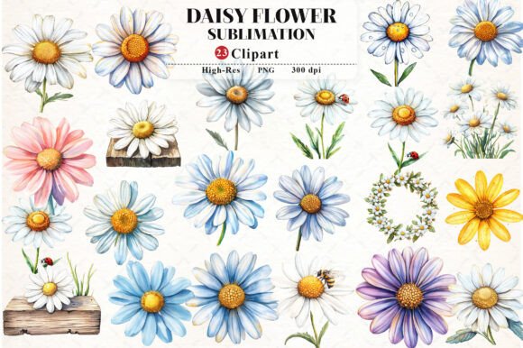 Daisy Flower Watercolor Cliparts: A Fresh Addition to Your Designs