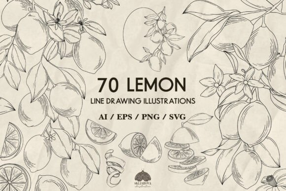 Fresh & Versatile: Using Lemon Line Art in Your Designs