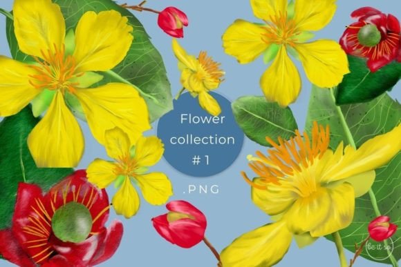 Stunning Flower Collection Clipart: Designs for Every Project