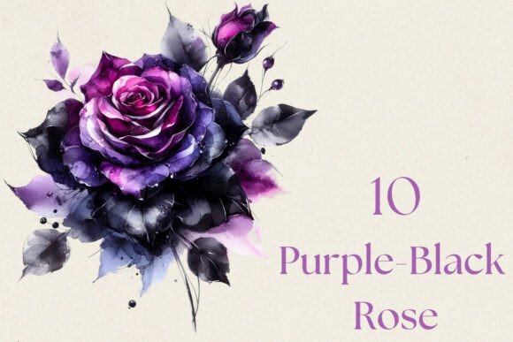The Moody Elegance of Purple Black Rose Flower Watercolor PNG