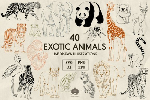 Unleash Your Wild Side: The Versatility of Exotic Animal Line Art